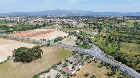 Quinta na Lardosa com Água Própria e Excelente Localização