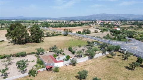 Quinta na Lardosa com Água Própria e Excelente Localização