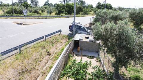 Quinta na Lardosa com Água Própria e Excelente Localização