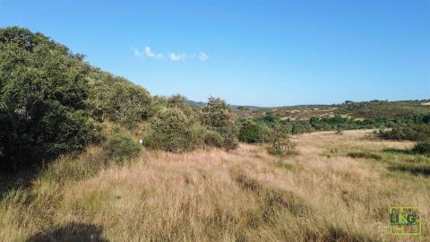 Terreno de 23.000m2 com Poço e Bons Acessos sobre o Rio Bazágueda