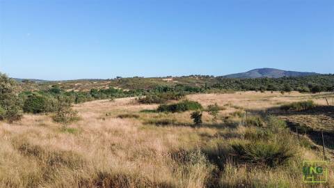 Terreno de 23.000m2 com Poço e Bons Acessos sobre o Rio Bazágueda