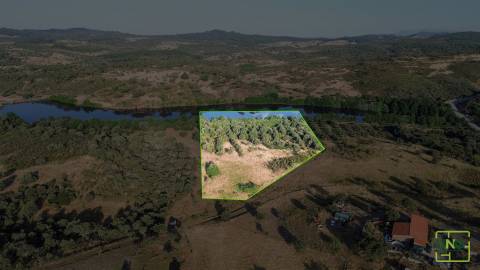 Terreno de 23.000m2 com Poço e Bons Acessos sobre o Rio Bazágueda