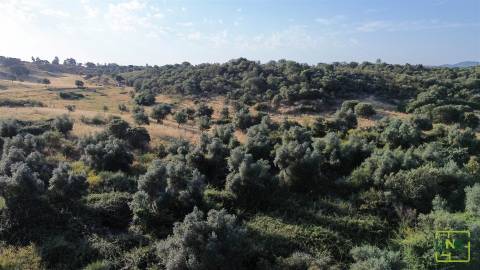 Terreno de 23.000m2 com Poço e Bons Acessos sobre o Rio Bazágueda