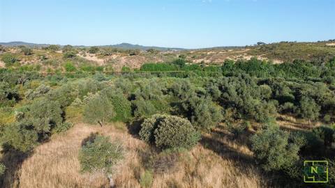 Terreno de 23.000m2 com Poço e Bons Acessos sobre o Rio Bazágueda