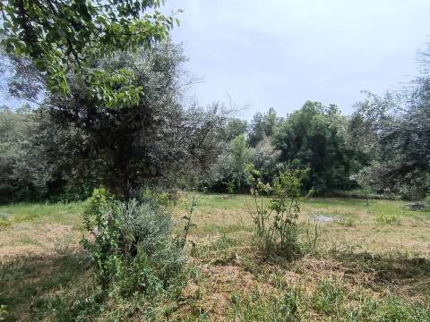 Propriedade OFF GRIDD em Medelim