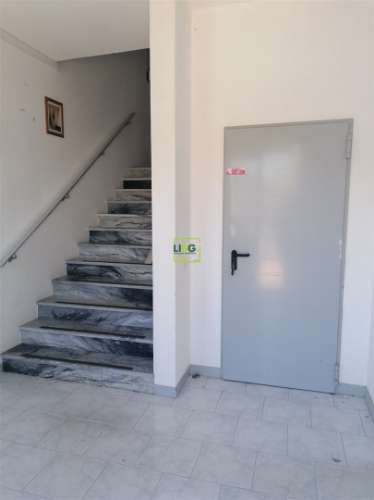 Armazém  Arrendamento em Castelo Branco,Castelo Branco