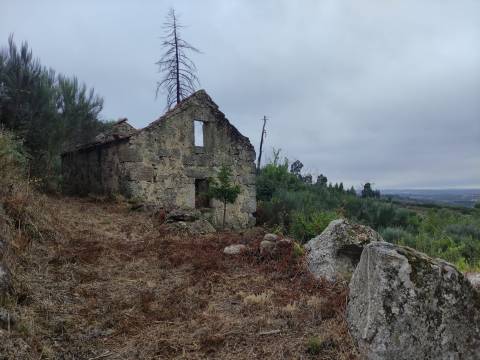 Quintinha para habitação
