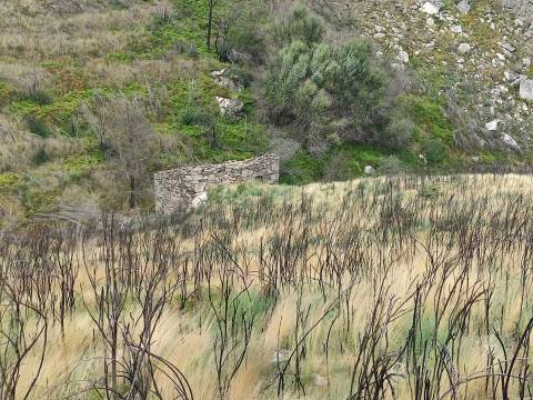 Quinta  Venda em Figueiró da Serra e Freixo da Serra,Gouveia