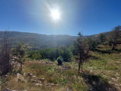Terreno Rústico  Venda em Figueiró da Serra e Freixo da Serra,Gouveia