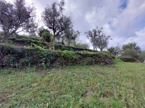 Quintinha com casa habitação