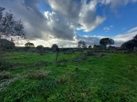 Terreno Para Construção  Venda em Paranhos,Seia
