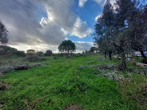Terreno Para Construção  Venda em Paranhos,Seia