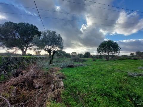 Terreno Para Construção  Venda em Paranhos,Seia
