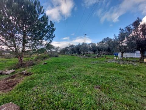 Terreno Para Construção  Venda em Paranhos,Seia