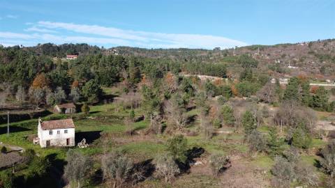 Quinta  Venda em Fornos de Algodres,Fornos de Algodres