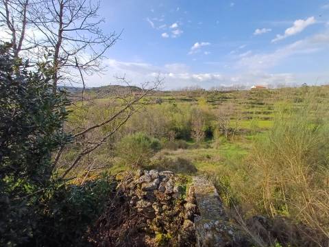 Quinta situada em plena natureza