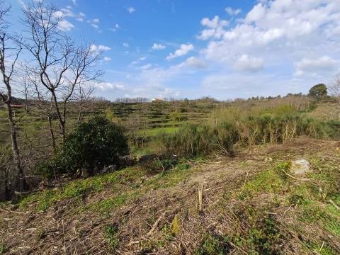 Quinta situada em plena natureza