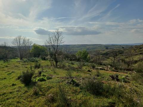 Quinta situada em plena natureza