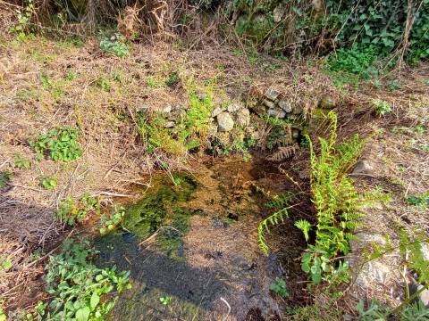 Quinta situada em plena natureza