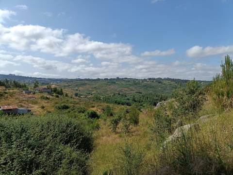 Terreno Para Construção  Venda em Lagares,Oliveira do Hospital