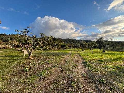 Quinta T3 - A Quinta de Sonho na Serra da Estrela