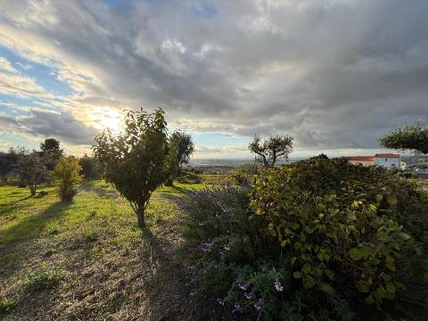 Quinta T3 - A Quinta de Sonho na Serra da Estrela