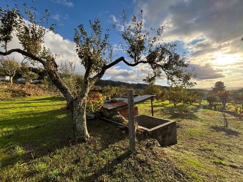 Quinta T3 - A Quinta de Sonho na Serra da Estrela