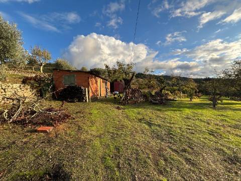 Quinta T3 - A Quinta de Sonho na Serra da Estrela