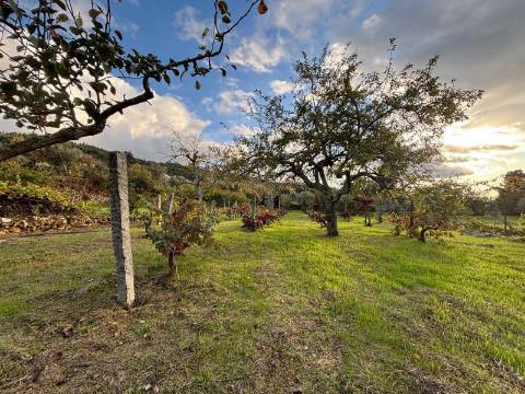 Quinta T3 - A Quinta de Sonho na Serra da Estrela