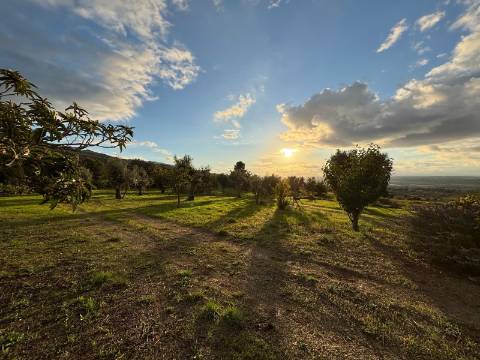 Quinta T3 - A Quinta de Sonho na Serra da Estrela