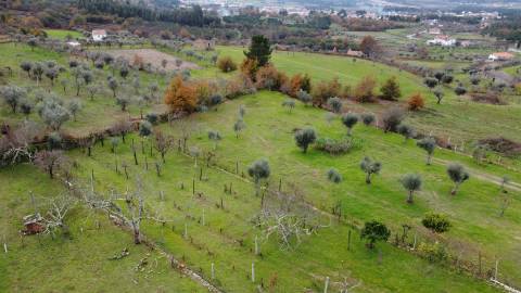 Quinta T3 - A Quinta de Sonho na Serra da Estrela