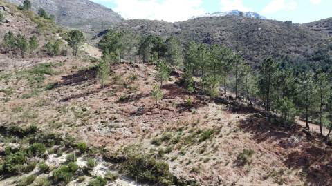 Um refúgio na Serra da Estrela - Quinta