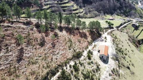 Um refúgio na Serra da Estrela - Quinta