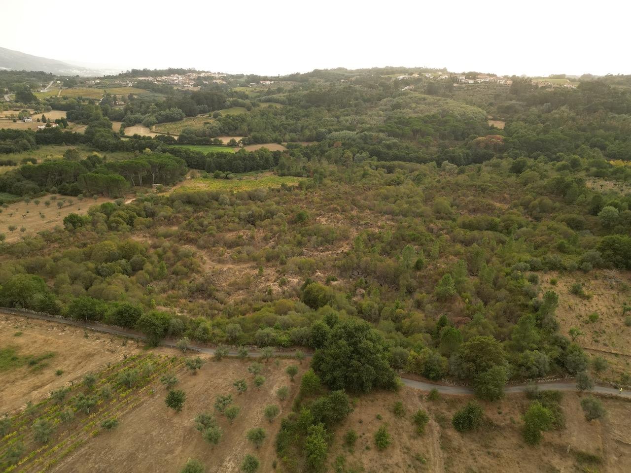 Terreno Rústico  Venda em Rio Torto e Lagarinhos,Gouveia