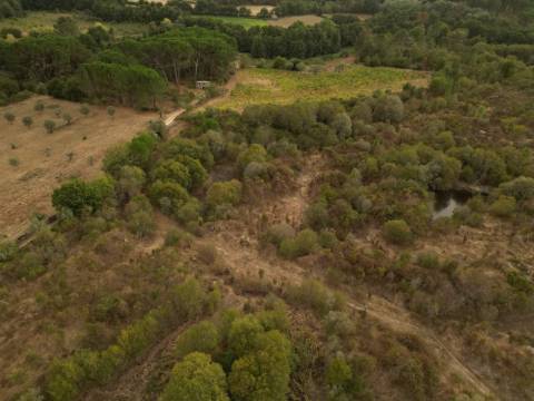 Terreno Rústico  Venda em Rio Torto e Lagarinhos,Gouveia