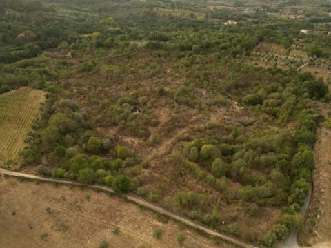 Terreno Rústico  Venda em Rio Torto e Lagarinhos,Gouveia