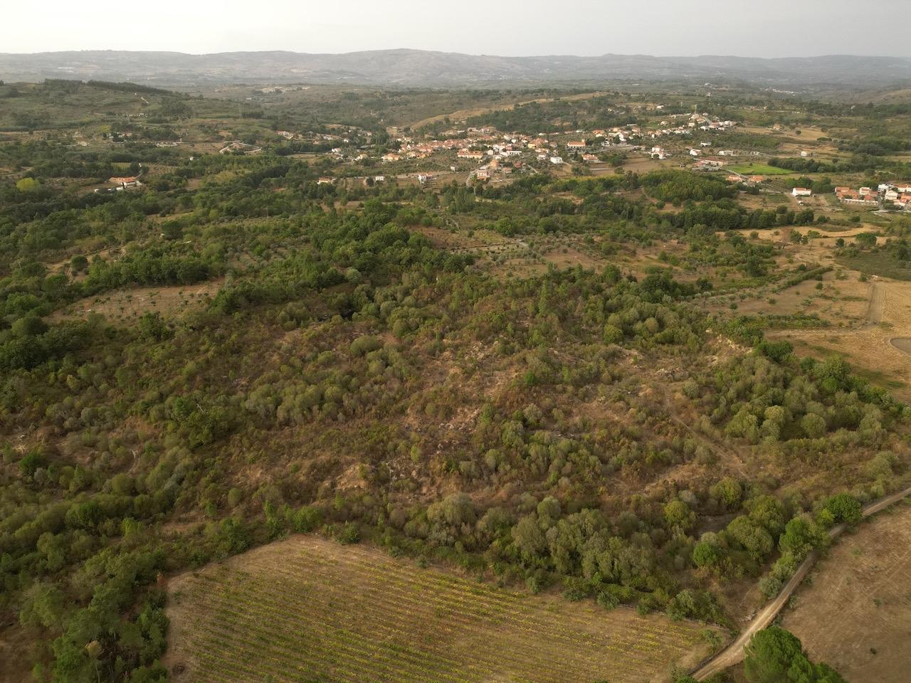 Terreno Rústico  Venda em Rio Torto e Lagarinhos,Gouveia