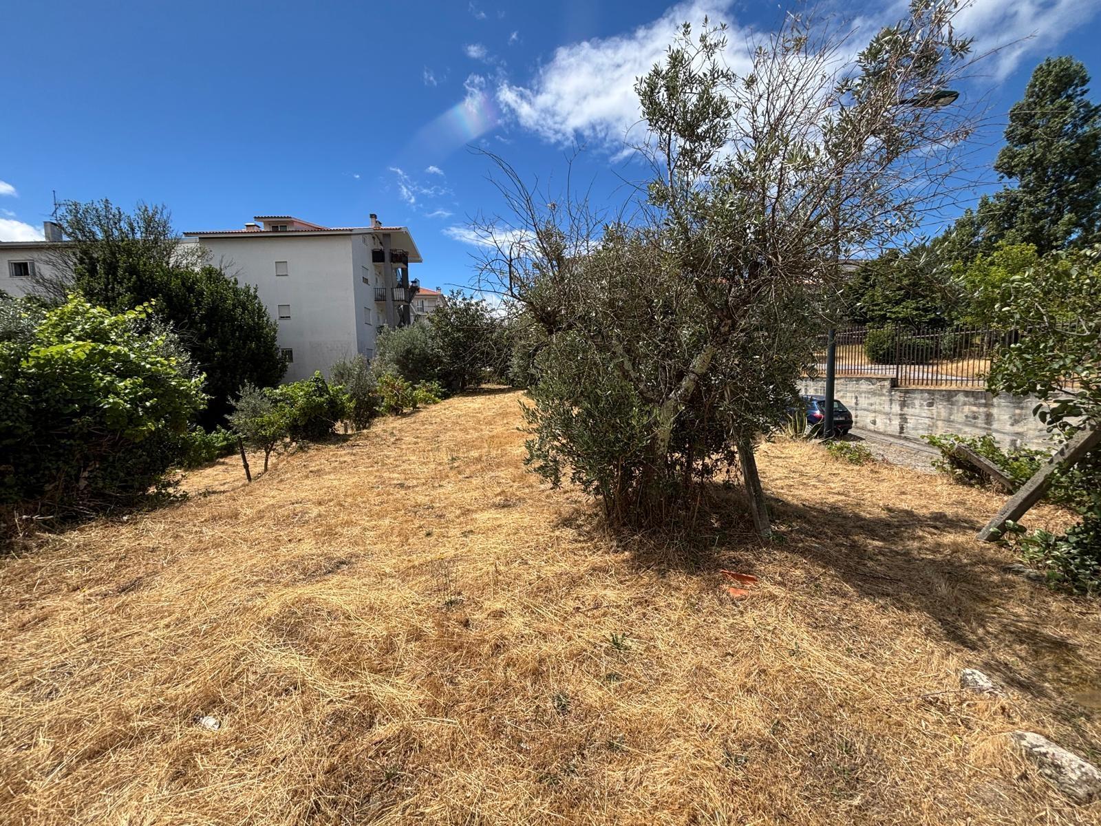 Terreno para construção - dimensão, localização e potencial