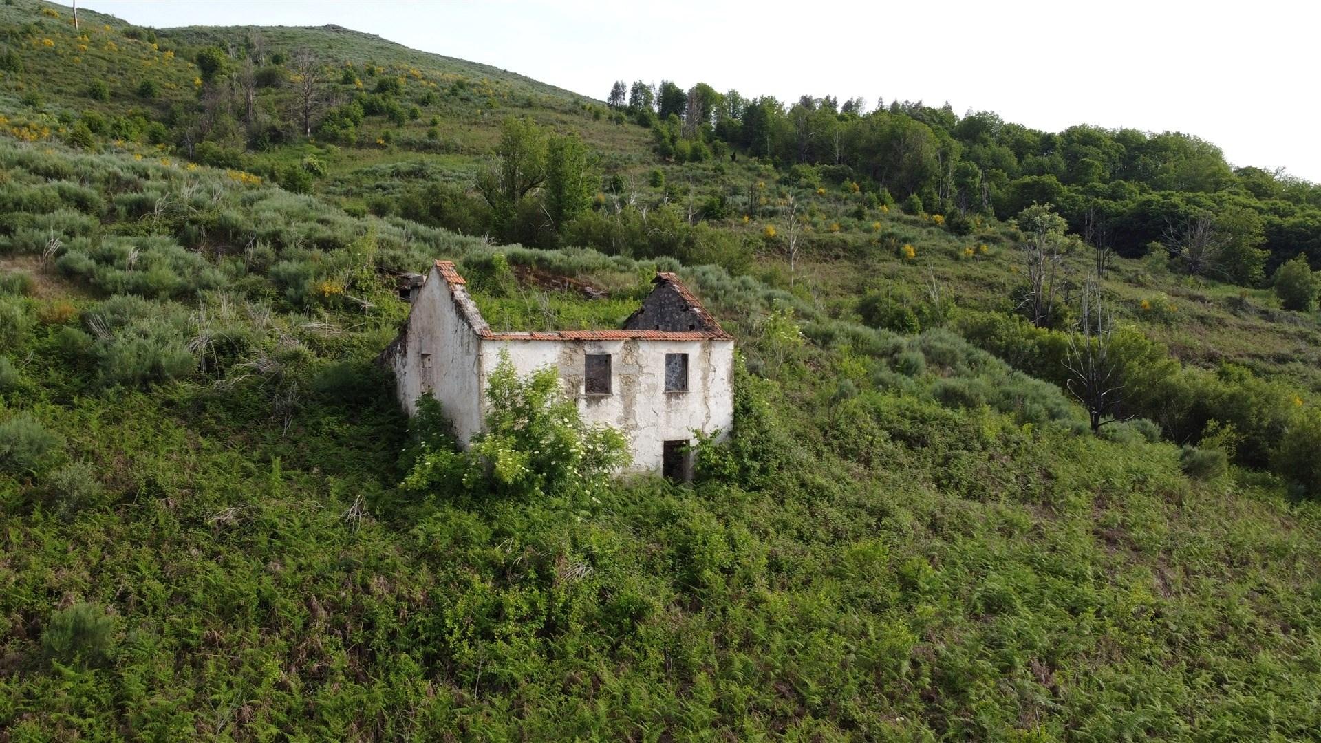 Quinta T0 Venda em Figueiró da Serra e Freixo da Serra,Gouveia