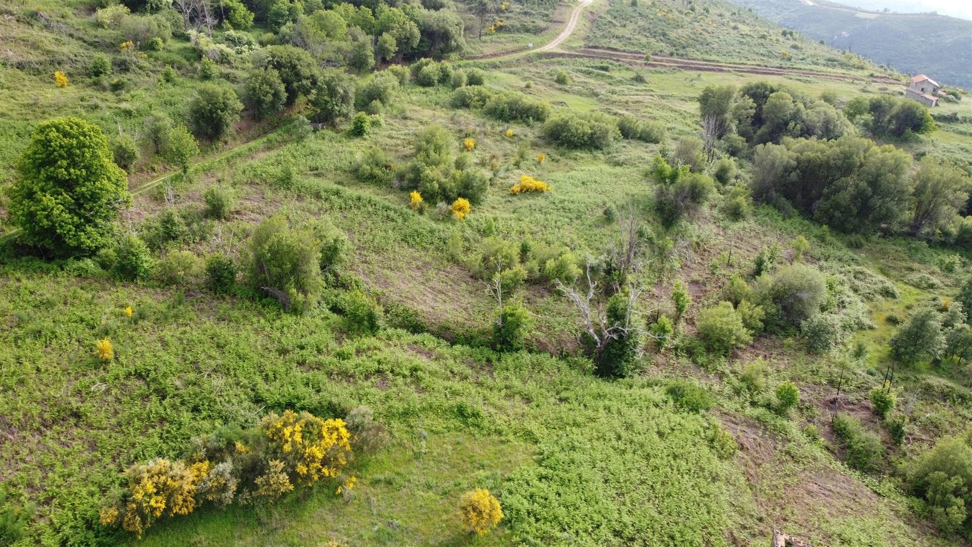 Quinta T0 Venda em Figueiró da Serra e Freixo da Serra,Gouveia