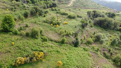 Quinta T0 Venda em Figueiró da Serra e Freixo da Serra,Gouveia