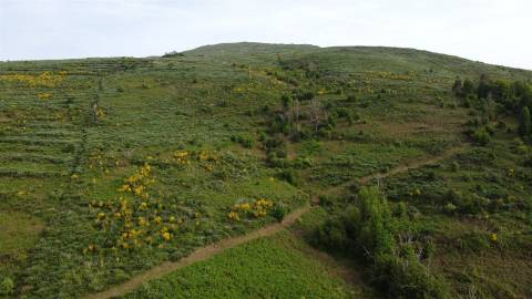 Quinta T0 Venda em Figueiró da Serra e Freixo da Serra,Gouveia
