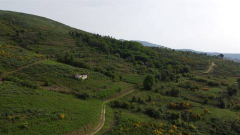 Quinta T0 Venda em Figueiró da Serra e Freixo da Serra,Gouveia