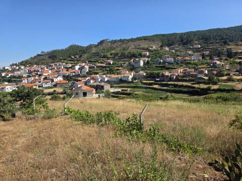 Quinta  Venda em Valezim,Seia