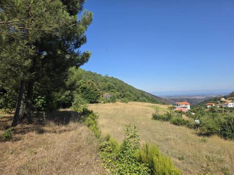Quinta  Venda em Valezim,Seia
