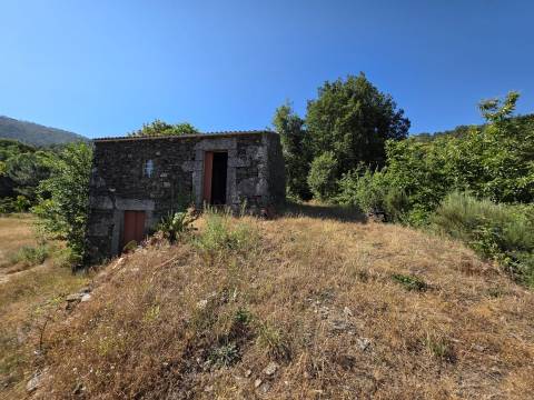 Quinta  Venda em Valezim,Seia