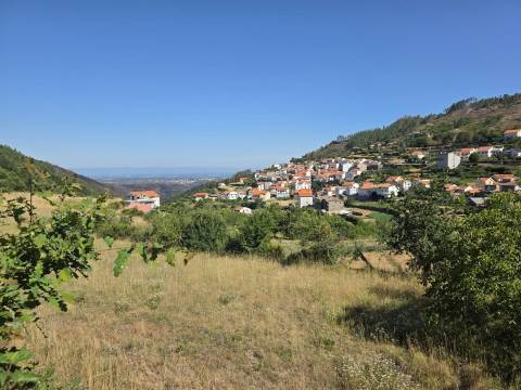 Quinta  Venda em Valezim,Seia