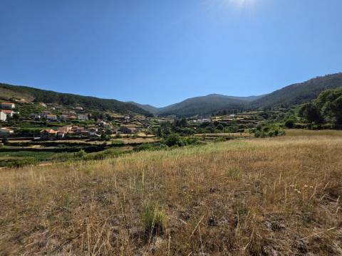 Quinta  Venda em Valezim,Seia