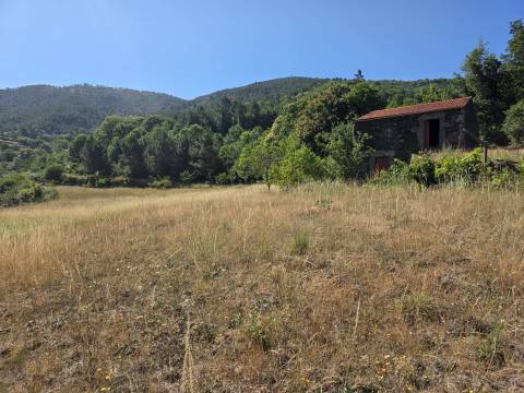 Quinta  Venda em Valezim,Seia