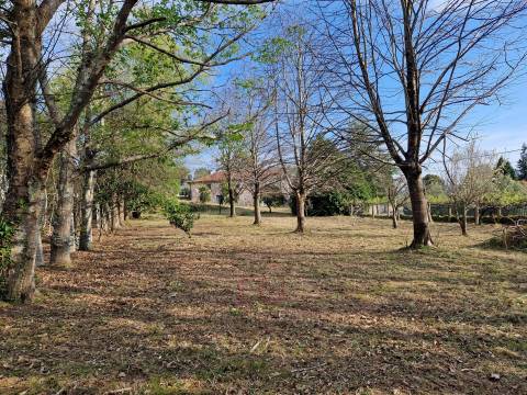 Terreno Para Construção  Venda em Vilar de Mouros,Caminha